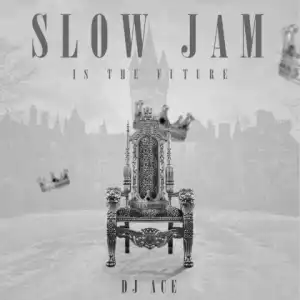 DJ Ace - The Way (Slow Jam)